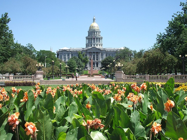 Denver Colorado travel guide image of Civic Center Park with flowers and the Colorado State Capitol building