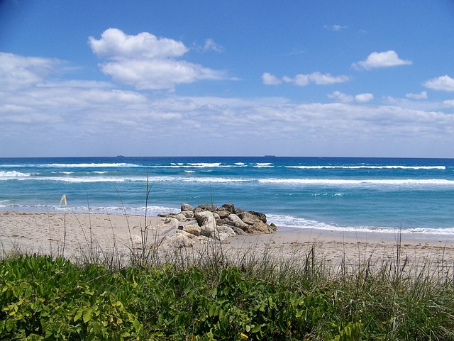 West Palm Beach travel guide image of the waterfront with palm trees, blue sky, and South Florida coastal views